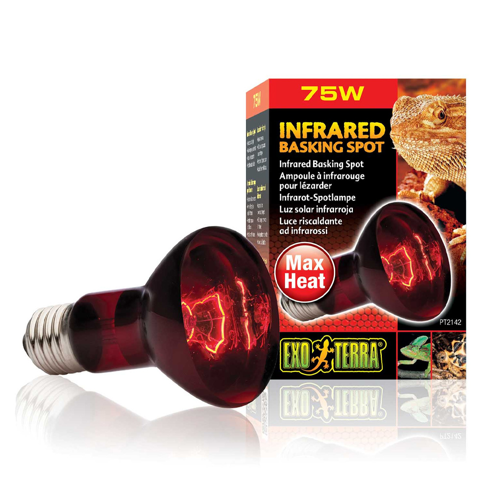 Exo Terra Infrared Basking Spot 75W Żarówka Grzewcza Czerwona